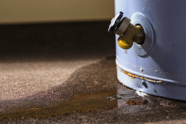 Best Water damage restoration near me  in Lapel, IN