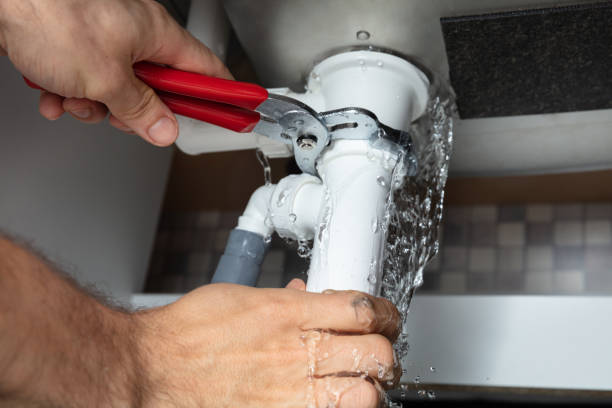 Best Flood restoration services  in Lapel, IN