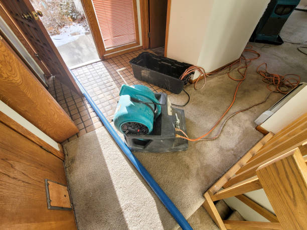 Best Residential water damage restoration  in Lapel, IN