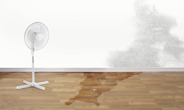 Best Fire Damage Restoration  in Lapel, IN