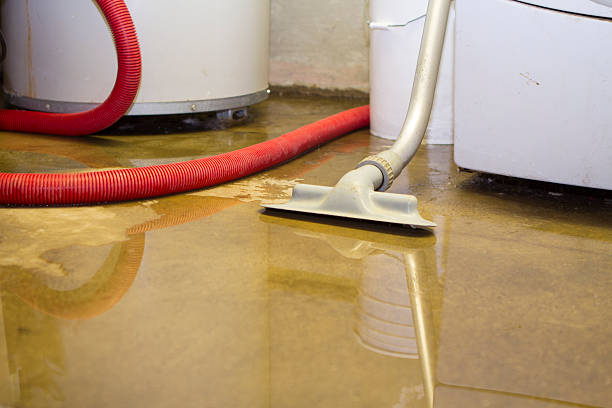 Best Sewage cleanup and water damage restoration  in Lapel, IN