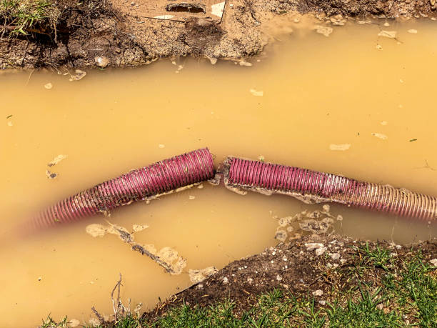 Best Emergency water damage restoration  in Lapel, IN